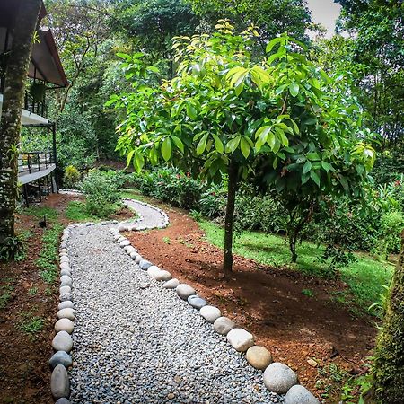 The Scarlet Villas Ojochal Extérieur photo